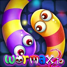 Wormax2.io